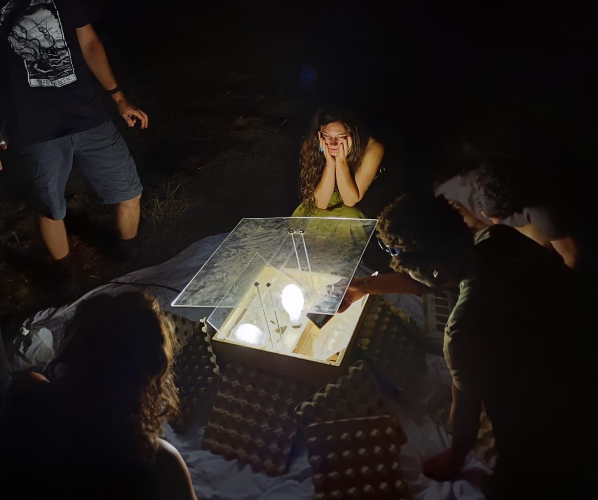 Fotografia da experiência: Uma Noite de Borboletas
